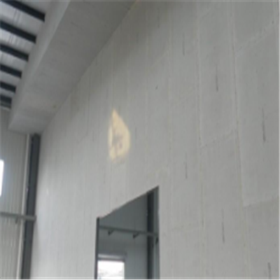昭平宁波ALC板|EPS加气板隔墙与混凝土整浇联接的实验研讨